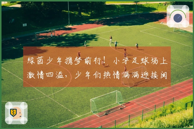 绿茵少年携梦前行！小学足球场上激情四溢，少年们热情满满迎接闽超联赛