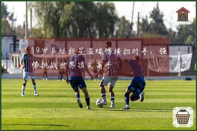 19岁乒坛新星温瑞博横扫对手，强势挑战世界顶尖高手