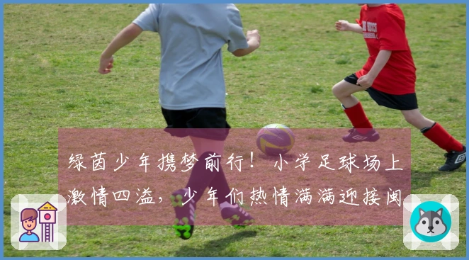 绿茵少年携梦前行！小学足球场上激情四溢，少年们热情满满迎接闽超联赛